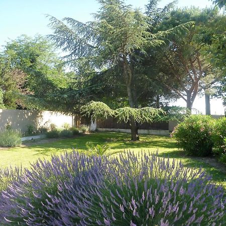 Le Mas De Gleyzes B&B De Charme Lédenon Eksteriør bilde